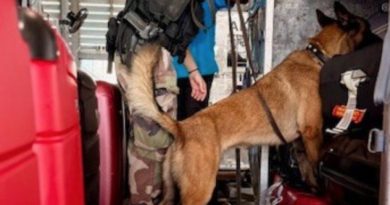 Pointe-à-Pitre : contrôle ciblé sur le tarmac pour sécuriser les vols et les infrastructures