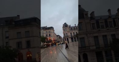 Poitiers : Patrimoine et Vie Urbaine au Cœur de la Ville