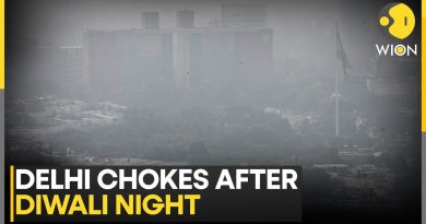 Pollution Post-Diwali : Delhi Suffoque Après les Feux d'Artifice