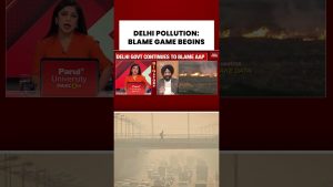 Pollution à Delhi : BJP et AAP se rejettent la faute avant Diwali