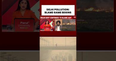 Pollution à Delhi : BJP et AAP se rejettent la faute avant Diwali