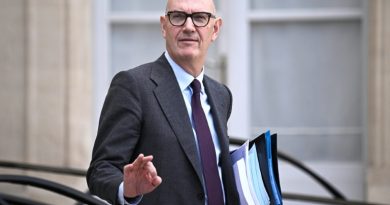 Poupées sexuelles: la justice enquête sur les plateformes asiatiques, Shein menacé d'interdiction