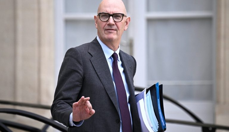 Poupées sexuelles: la justice enquête sur les plateformes asiatiques, Shein menacé d'interdiction