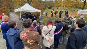 illustration agrandir l