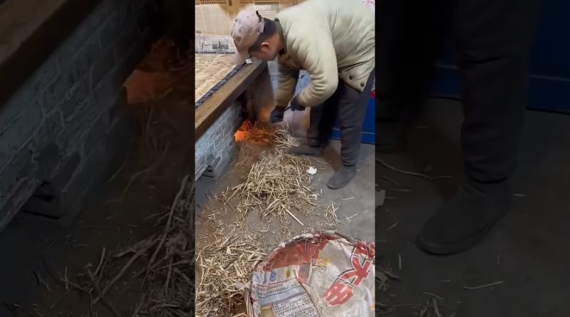 Pourquoi les maisons rurales en Chine n'ont pas besoin de chauffages modernes !