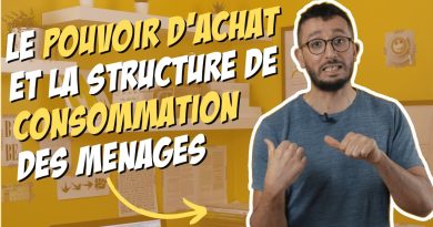 Pouvoir d'achat et consommation des ménages - Économie STMG