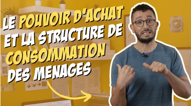 Pouvoir d'achat et consommation des ménages - Économie STMG