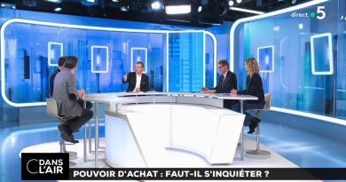 Pouvoir d'achat : inquiétudes à prévoir ? #cdanslair 01.02.2019