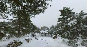 Préfecture de la Haute-Corse