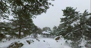 Préfecture de la Haute-Corse