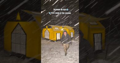 ❄️ Première Neige de la Saison : Émerveillement Garanti ! 😍