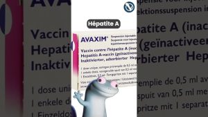 Prépare ton aventure en Asie du Sud-Est !