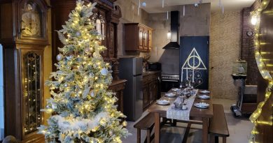 Près de Lille. Chez Camille et Rémi, faites escale au Quai des sorciers pour un séjour ensorcelé