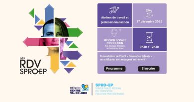 Présentation de l'outil "révèle tes talents" pour accompagner autrement | Gip Alfa