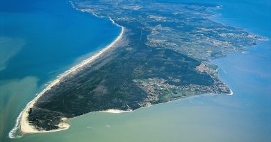 Présidente Viera : sauvetage héroïque en pleine tempête sur les côtes d’Oléron - ICI