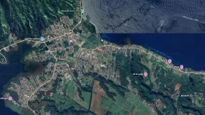 Presqu'île: nouveau dessouchement d'arbres à seulement deux kilomètres d'Afaahiti, 15 riverains évacués