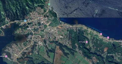 Presqu'île: nouveau dessouchement d'arbres à seulement deux kilomètres d'Afaahiti, 15 riverains évacués