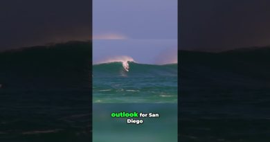 Prévisions Météo à San Diego : 7 Jours et Ensoleillement !