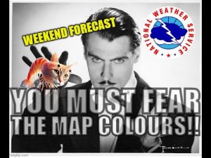 Prévisions de Thanksgiving : Panique, colère et terreur en vue !