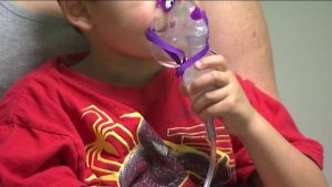 Prévisions des experts sur la saison du VRS et protections