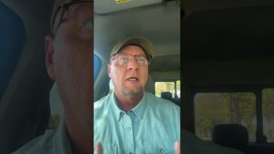 Prix du pétrole en chute : impact sur les prix du gaz