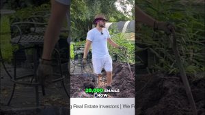 Programme de Fidélité Moringa pour Revitaliser le Sol