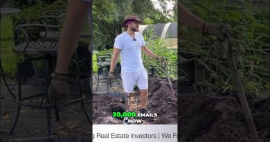 Programme de Fidélité Moringa pour Revitaliser le Sol