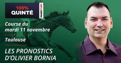 Pronostics Quinté PMU : 100% pour le 11 novembre à Toulouse