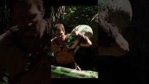 Python Surprise : 3 Secondes pour Réagir ! #Préhistorique