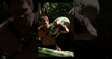 Python Surprise : 3 Secondes pour Réagir ! #Préhistorique