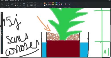 Qualité de l'Air Intérieur : Humidité, PM et Stérilité