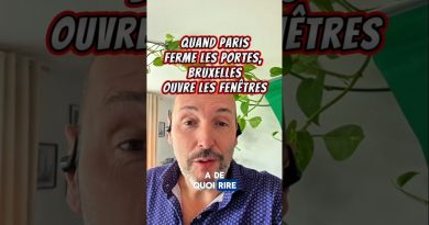 Quand Paris se ferme, Bruxelles s'ouvre : l'Algérie en jeu