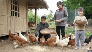 Quand le premier œuf est arrivé : l'émotion de Maya et Huyen