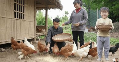 Quand le premier œuf est arrivé : l'émotion de Maya et Huyen