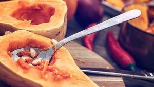 Que faire avec les épluchures de potiron ? - ici