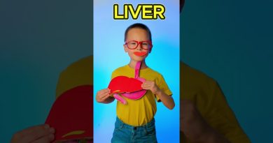 Que se passe-t-il après avoir mangé ? Comprendre la digestion !