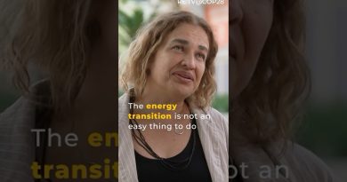 Qu'est-ce qui freine la transition énergétique totale ?
