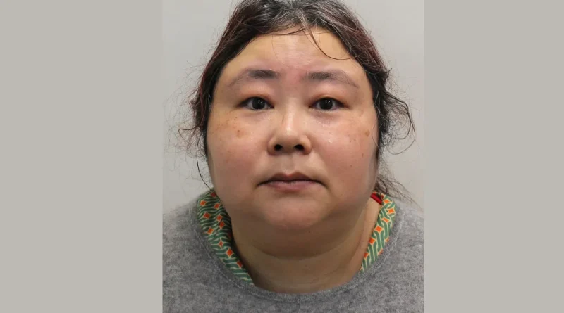 Qui est la « déesse de la richesse », l’arnaqueuse chinoise aux 6 milliards de dollars en bitcoins ?