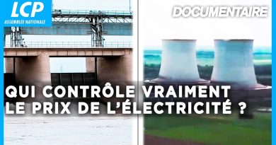 Qui fixe réellement le prix de l'électricité ? | Documentaire LCP