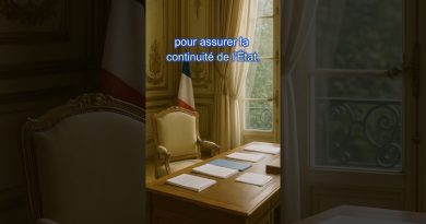 Qui succède à Macron en cas de démission ? #politique