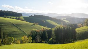 Qui veut la paix, prépare la guerre : ce document de 1 200 pages prévoit tout ce qu’il faut faire en cas d’invasion russe