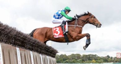 Quinté à Auteuil du samedi 15 novembre : les pronostics hippiques d'Hervé Fortin - ICI