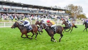 Quinté à Fontainebleau du lundi 3 novembre : les pronostics hippiques d'Hervé Fortin - ici