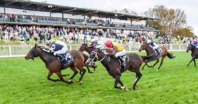 Quinté à Fontainebleau du lundi 3 novembre : les pronostics hippiques d'Hervé Fortin - ici