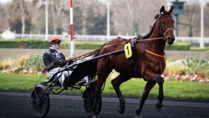 Quinté à Paris-Vincennes du vendredi 7 novembre : les pronostics hippiques d'Hervé Fortin - ICI