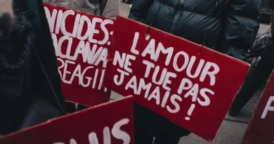 Manifestations contre les violences faites aux femmes et aux minorités de genre les 22 et 25 novembre