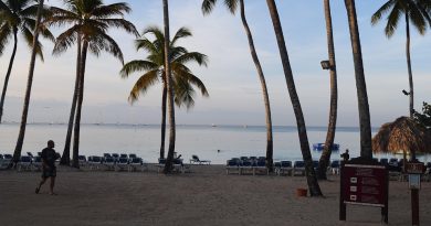 Martinique, Fort-de-France, beach, volcano, palm, rainforest, Creole, boat, island
