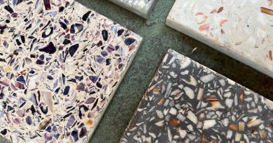 Une start-up bretonne transforme les coquillages de l'océan pour l'Élysée