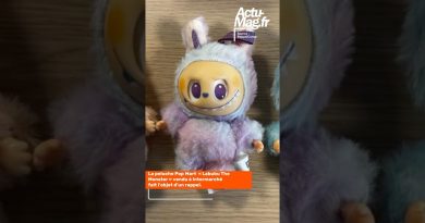 Rappel produit : la peluche Labubu d'Intermarché concernée