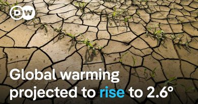 Rapport : Augmentation des jours de chaleur extrême d'ici 2100